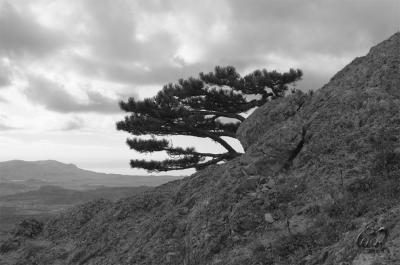 Прикрепленное изображение: 4.JPG